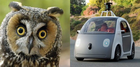 10 Things The New Google Driverless Car May Look Like-2