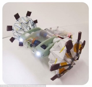 origami robot
