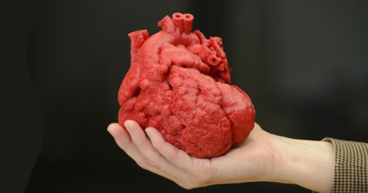 A Giant Step For Artificial Organs: Blood Vessels Synthesized By 3D Printing