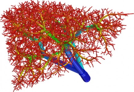 A Giant Step For Artificial Organs: Blood Vessels Synthesized By 3D Printing-2
