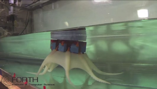 Greek Scientists Design Octopus Inspired Robot That Moves Fast Under Water-