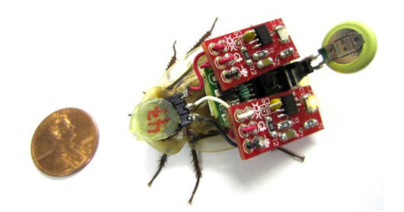 Cockroach Robot To Save Human Lives In Disasters-