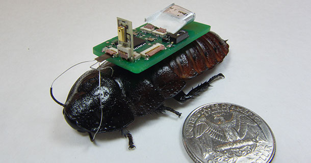 Cockroach Robot To Save Human Lives In Disasters-1