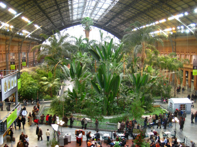 Atocha station in Madrid, Spain-25 Most Beautiful Subway Stations Around The World (Photo Gallery)-20