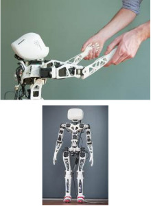 Poppy: The World's First Completely Open Source Humanoid-2