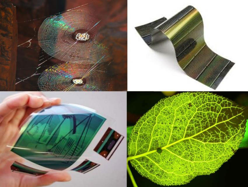 Future Smartphone Screens Will Be Inspired By Vegetable Leaves And Cobwebs