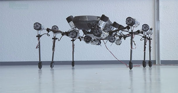 Hector: This Bio Inspired Hexapod Moves Swiftly Like A Real Insect-2