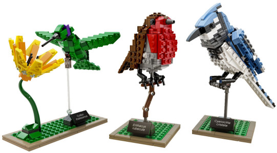 Amazing Bird Models Made Using Simple LEGO Bricks-5
