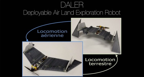 DALER-A bat inspired robot that can fly and move on the ground-1