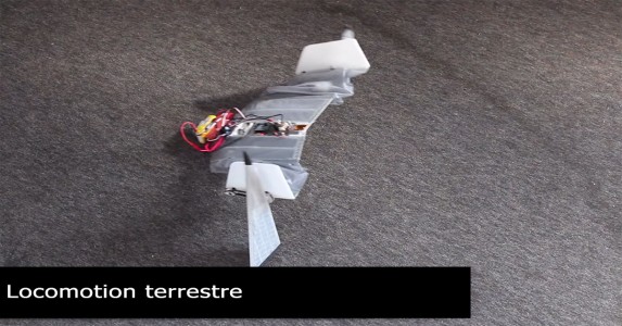 DALER-A bat inspired robot that can fly and move on the ground-21