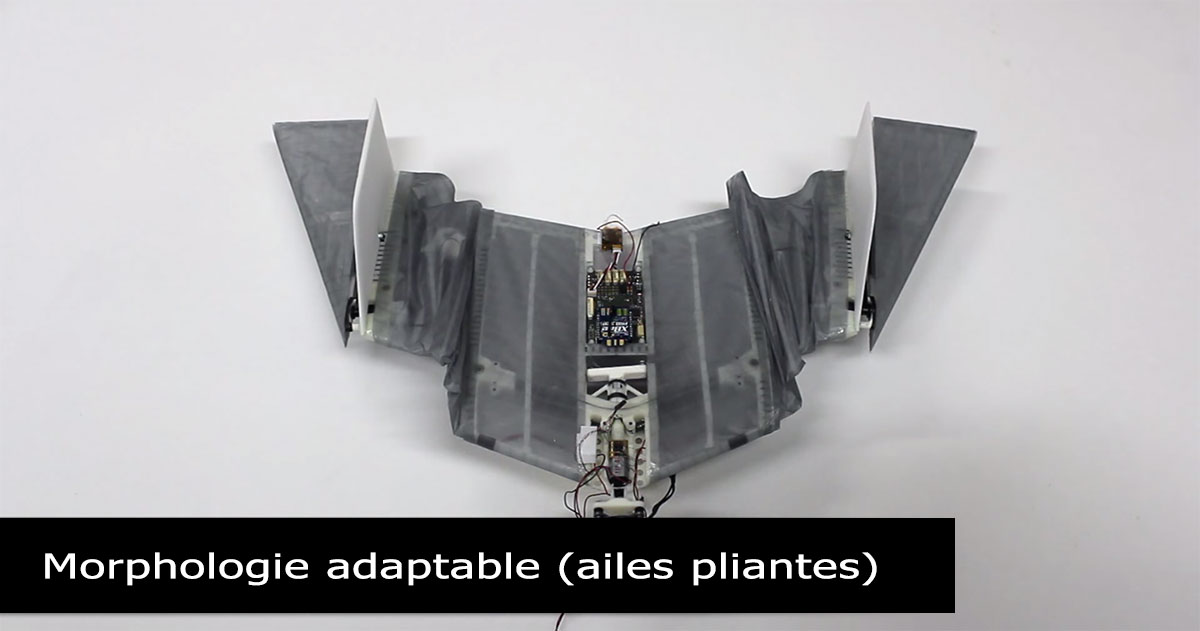 DALER-An Amazing Batman Inspired Robot That Can Fly And Walk On Ground