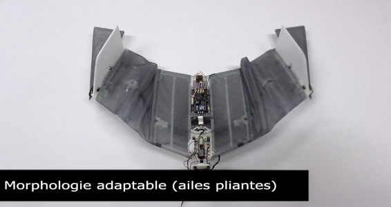 DALER-A bat inspired robot that can fly and move on the ground-4