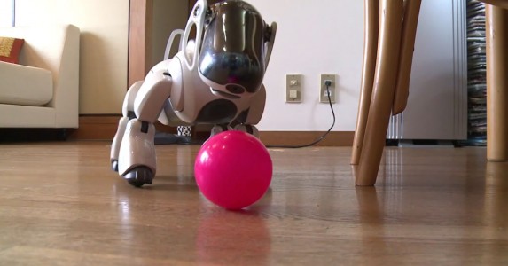 In Japan, Robot Dogs Can Now Have A Dignified Funeral Like Real Animals-3
