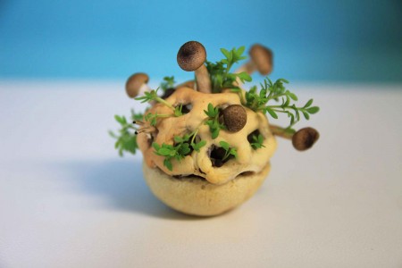 Enjoy Amazing 3D Printed Bio Food With Herbs And Mushrooms-2
