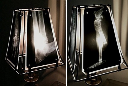 Make Awesome Lampshades From Animal X-Rays-3