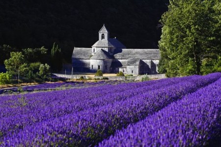 Abbey-de-Sénanque-Provence-Beautiful-France
