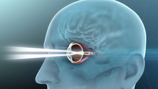 Revolutionary Implant To Restore Sight Of Blind People-4