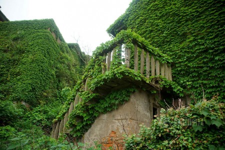 See How Nature Relcaims A Beautiful Abandoned Fishing Village In China?-6