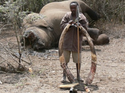 Air Shepherd: Drones To Fight Against Elephant Poaching-2