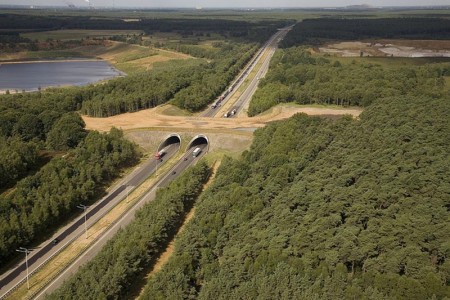 Eco-ducts: Ingenious Bridges To Save Thousands Of Animals-