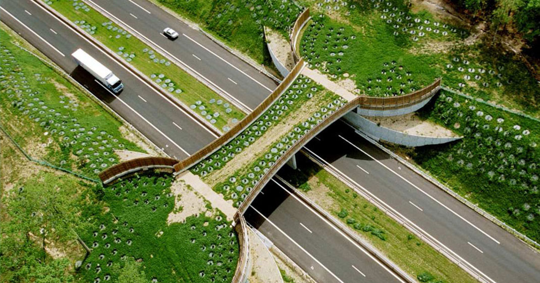 Eco-ducts: Ingenious Bridges To Save Thousands Of Animals-3