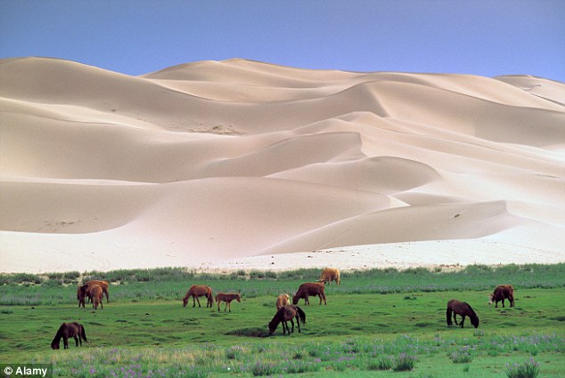 Google Street View Makes Us Travel To Remote Locations Of Mongolia-1