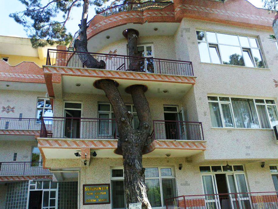 12 Green Tree Houses Built Around The Trees Without Cutting Them