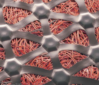 Image captured using electron microscope reveals the structure of spaghetti
