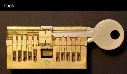 Discover Amazing Cross-section View Of 22 Everyday Objects Cut In Half-