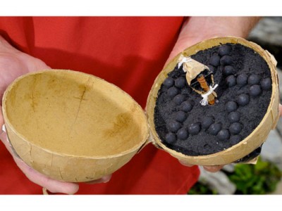 A firework-Discover Amazing Cross-section View Of 22 Everyday Objects Cut In Half-7