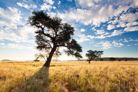 Most Beautiful Photographs To Reveal The Beautiful Namibian Desert-23