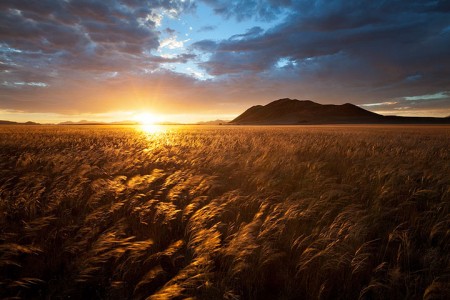 Most Beautiful Photographs To Reveal The Beautiful Namibian Desert-26