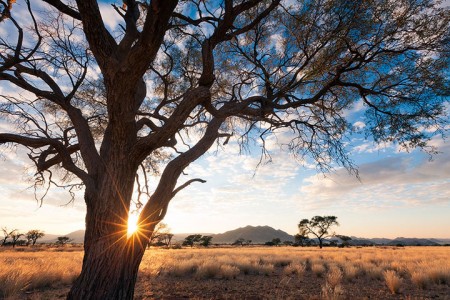 Most Beautiful Photographs To Reveal The Beautiful Namibian Desert-27