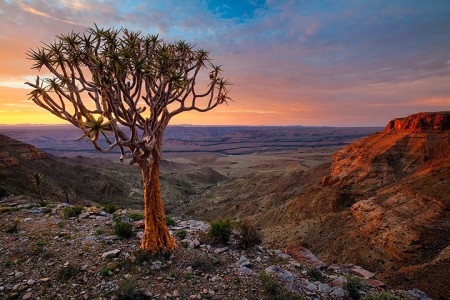 Most Beautiful Photographs To Reveal The Beautiful Namibian Desert-30