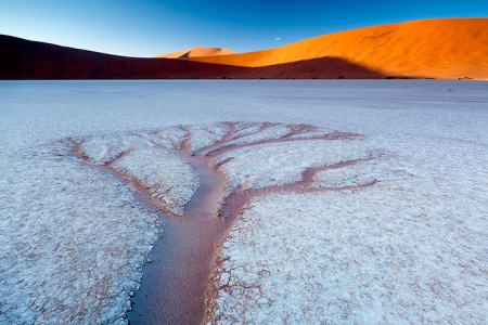 Most Beautiful Photographs To Reveal The Beautiful Namibian Desert-40