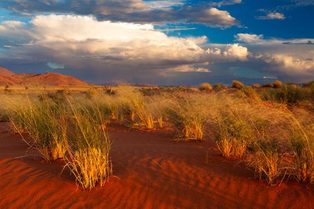 Most Beautiful Photographs To Reveal The Beautiful Namibian Desert-8