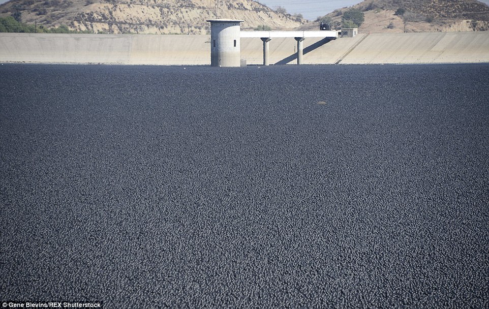 See How 96MILLION Plastic Balls Would Protect LA From Drought-