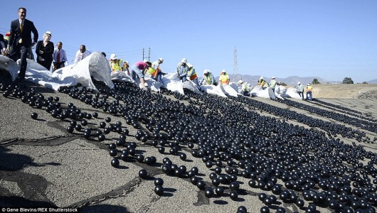 See How 96MILLION Plastic Balls Would Protect LA From Drought-2