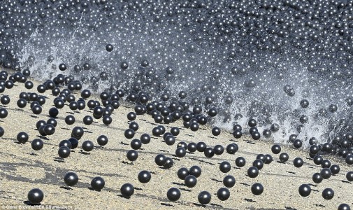 See How 96MILLION Plastic Balls Would Protect LA From Drought-4