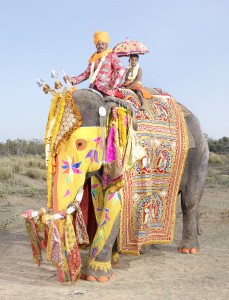 20 Elephants Decorated In Thousand Colors For The Jaipur Elephant Festival-13
