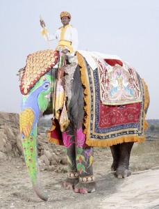 20 Elephants Decorated In Thousand Colors For The Jaipur Elephant Festival-19