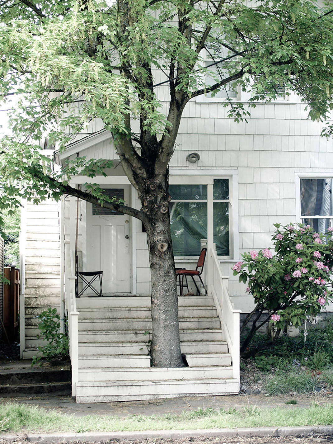 20 Unusual Buildings That Prove How Man and Nature Can Peacefully Co-exist