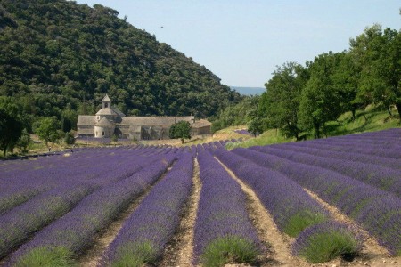 Top 20 Most Beautiful Natural Tourist Attractions in France-3