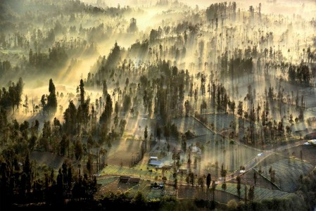 Sun that pierces the fog in Cemoro Lawang, Indonesia