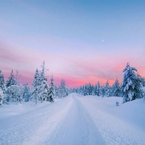 Discover Lapland, A Magnificent Nordic Region between Land And Ice-30