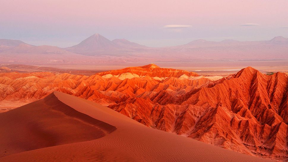 Top 10 Atacama Desert Facts That Every Tourist Must Know