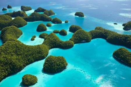 Palau islands-Discover This Gigantic Marine Sanctuary Where Wildlife Is Flourishing Away From Human Activity-