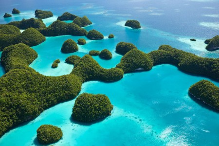 Palau islands-Discover This Gigantic Marine Sanctuary Where Wildlife Is Flourishing Away From Human Activity-