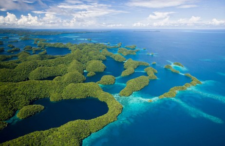 Palau islands-Discover This Gigantic Marine Sanctuary Where Wildlife Is Flourishing Away From Human Activity-2