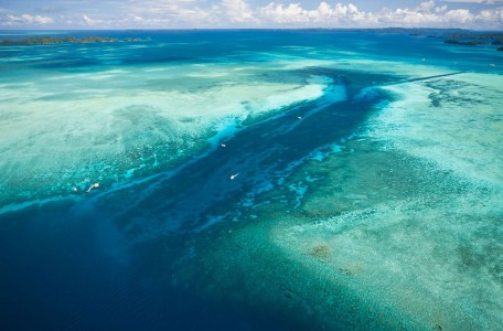 Palau islands-Discover This Gigantic Marine Sanctuary Where Wildlife Is Flourishing Away From Human Activity-4